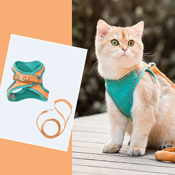 Cat Harness and Leash for Walking | Adjustable Kitten Escape Proof Harnesses | Luminous Cat Harness & Leash Set