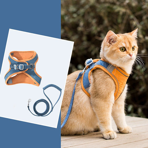 Cat Harness and Leash for Walking | Adjustable Kitten Escape Proof Harnesses | Luminous Cat Harness & Leash Set