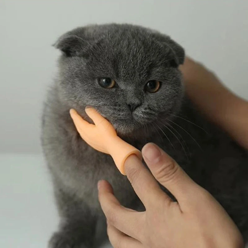 Cat Novelty Toys Teasing Cat TPR Soft Finger Gloves Funny Mini Hands Creative Finger Toys Fake Hand Cat Interactive Toys