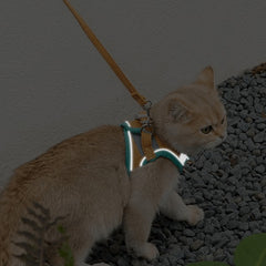 Cat Harness and Leash for Walking | Adjustable Kitten Escape Proof Harnesses | Luminous Cat Harness & Leash Set