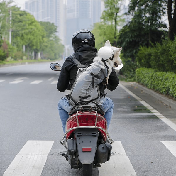 Sack Trainer Dog Carrier Backpack